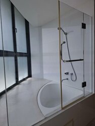 One Oxley Rise (D9), Apartment #455779931